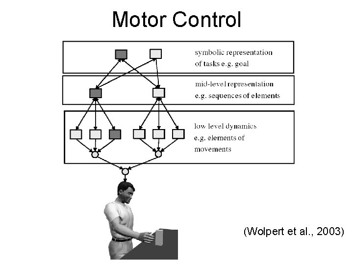 Motor Control (Wolpert et al. , 2003) 