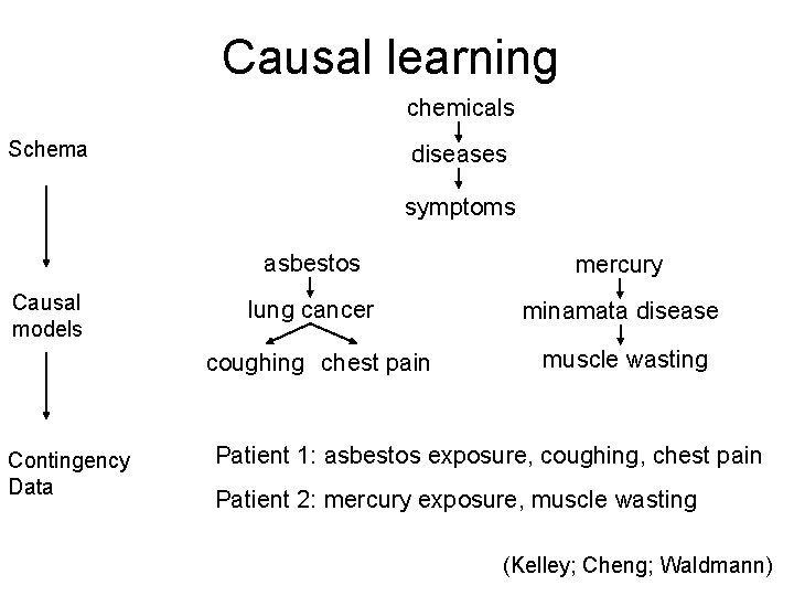 Causal learning chemicals Schema diseases symptoms Causal models asbestos mercury lung cancer minamata disease