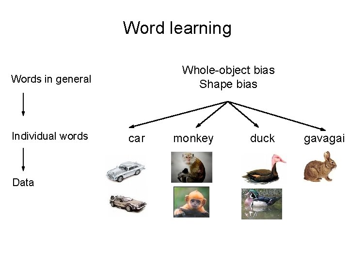 Word learning Whole-object bias Shape bias Words in general Individual words Data car monkey