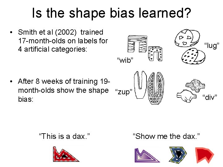 Is the shape bias learned? • Smith et al (2002) trained 17 -month-olds on