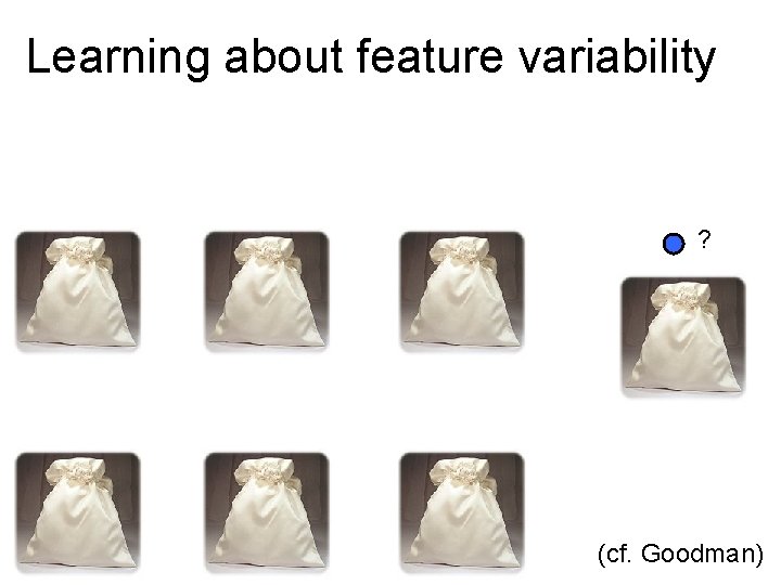 Learning about feature variability ? (cf. Goodman) 