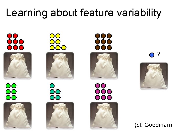 Learning about feature variability ? (cf. Goodman) 