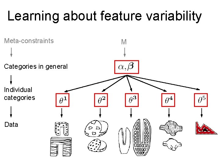 Learning about feature variability Meta-constraints Categories in general Individual categories Data M 