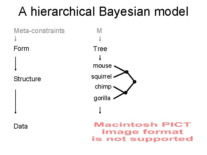 A hierarchical Bayesian model Meta-constraints Form M Tree mouse Structure squirrel chimp gorilla Data