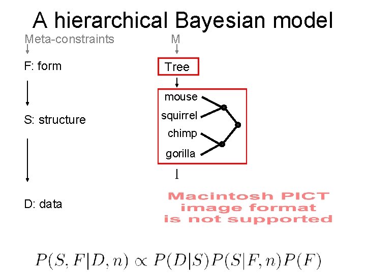 A hierarchical Bayesian model Meta-constraints F: form M Tree mouse S: structure squirrel chimp