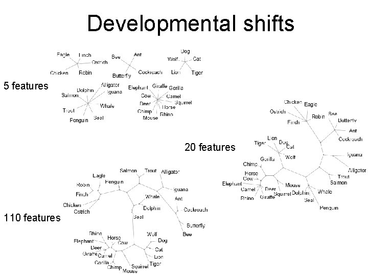 Developmental shifts 5 features 20 features 110 features 