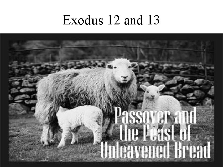 Exodus 12 and 13 