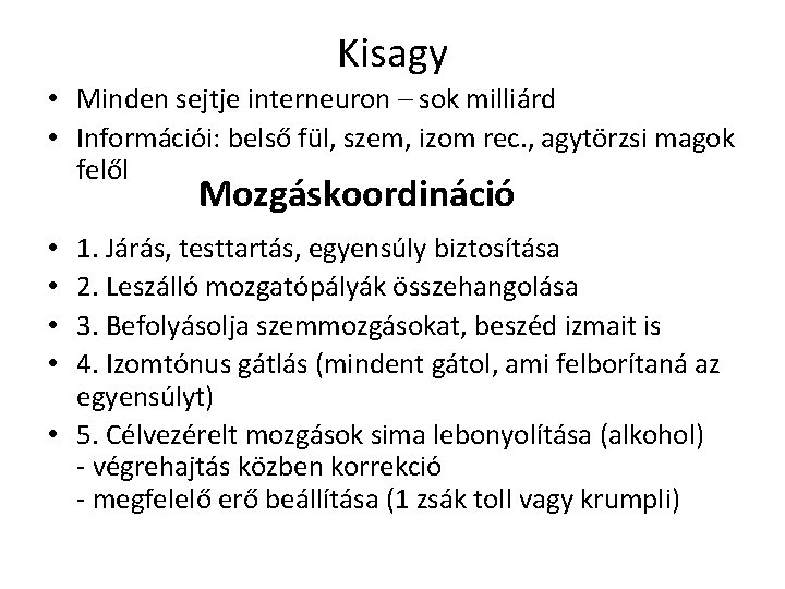 Kisagy • Minden sejtje interneuron – sok milliárd • Információi: belső fül, szem, izom