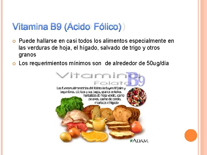 VITAMINA B 9 (ÁCIDO FÓLICO) Puede hallarse en casi todos los alimentos especialmente en
