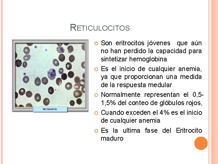 RETICULOCITOS Son eritrocitos jóvenes que aún no han perdido la capacidad para sintetizar hemoglobina