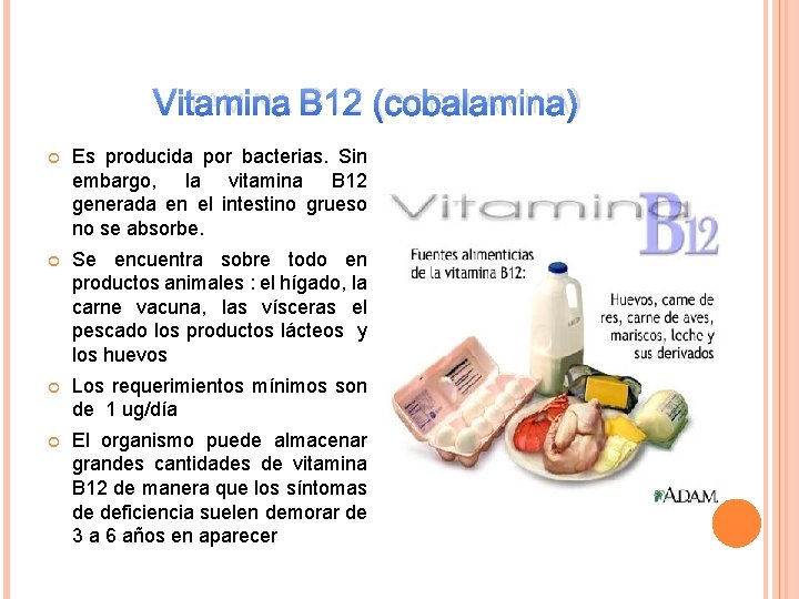 VITAMINA B 12 (COBALAMINA) Es producida por bacterias. Sin embargo, la vitamina B 12