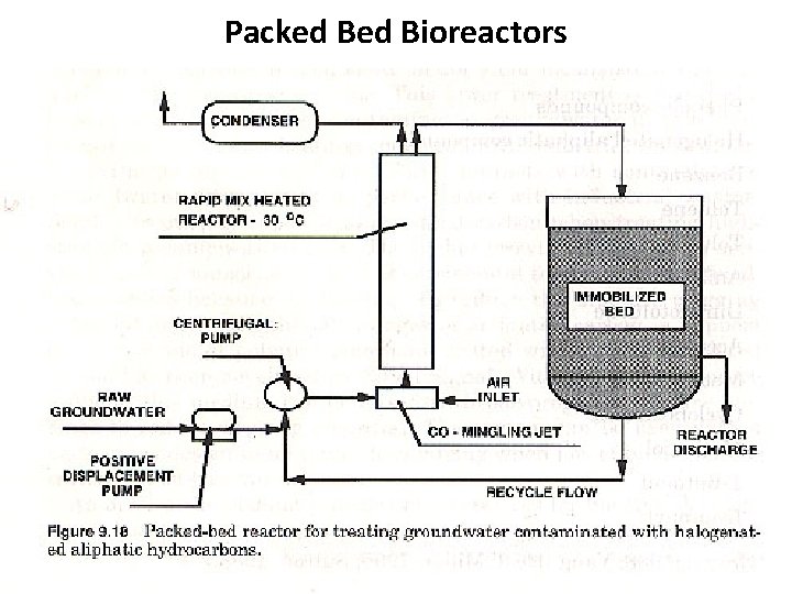 Packed Bioreactors 