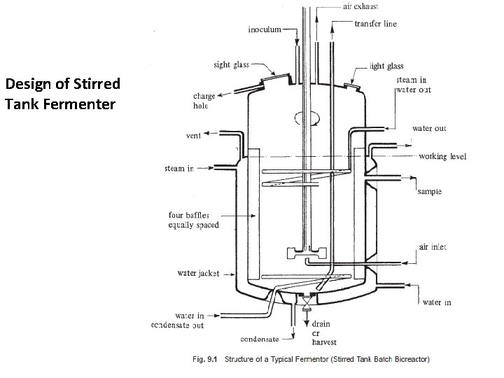 Design of Stirred Tank Fermenter 