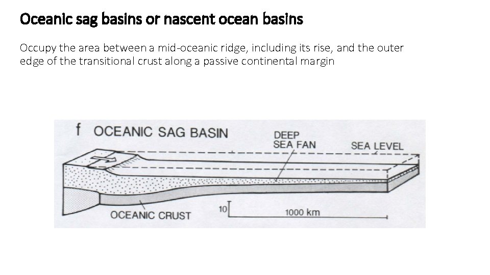 Oceanic sag basins or nascent ocean basins Occupy the area between a mid-oceanic ridge,