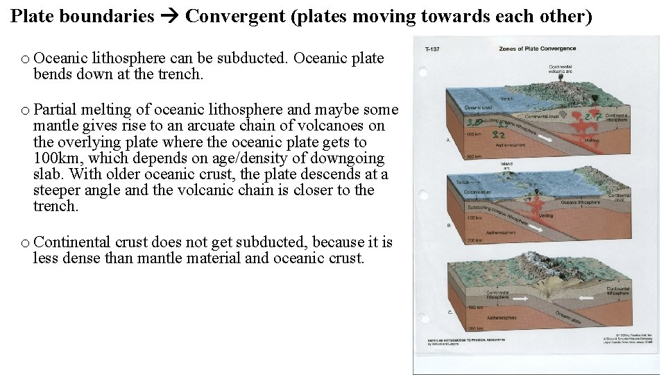 Plate boundaries Convergent (plates moving towards each other) o Oceanic lithosphere can be subducted.
