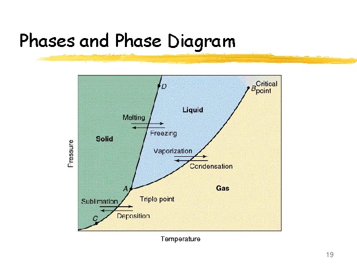 Phases and Phase Diagram 19 