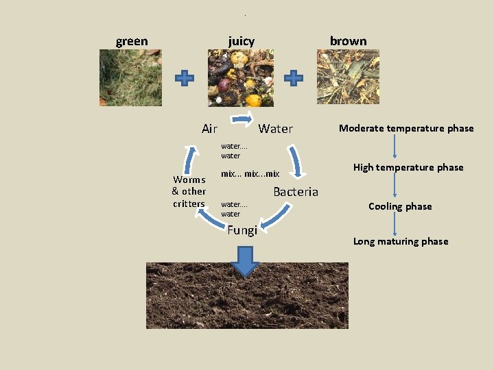 . green juicy brown Water Air water. . water Worms & other critters mix.