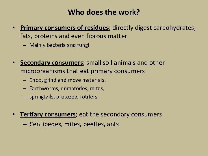 Who does the work? • Primary consumers of residues; directly digest carbohydrates, fats, proteins