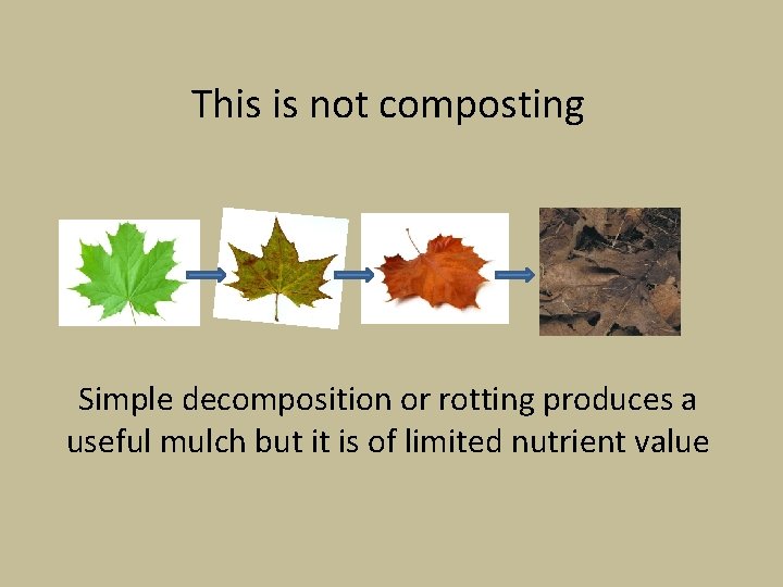 This is not composting Simple decomposition or rotting produces a useful mulch but it