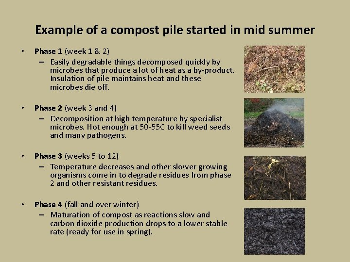 Example of a compost pile started in mid summer • Phase 1 (week 1