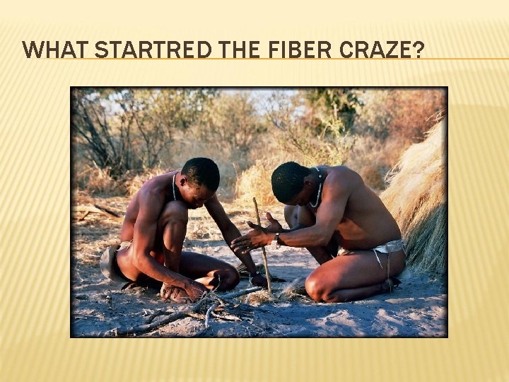 WHAT STARTRED THE FIBER CRAZE? 