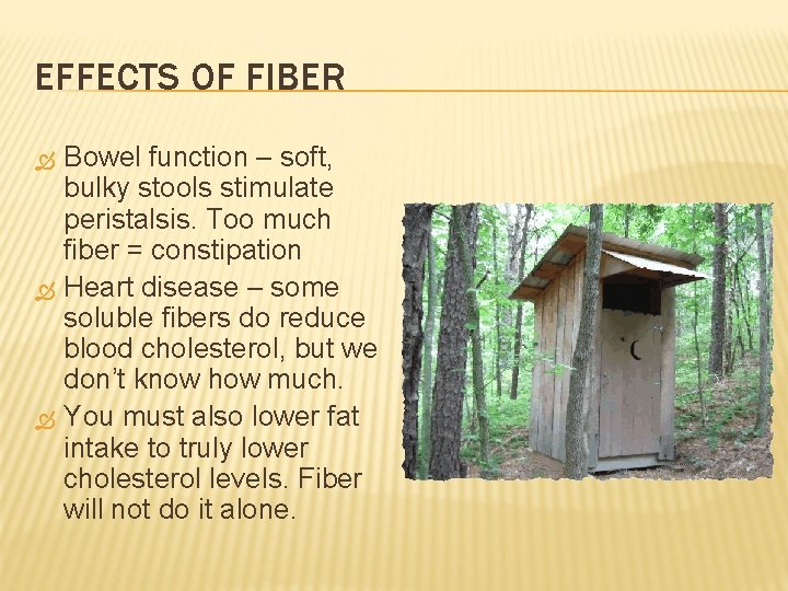 EFFECTS OF FIBER Bowel function – soft, bulky stools stimulate peristalsis. Too much fiber