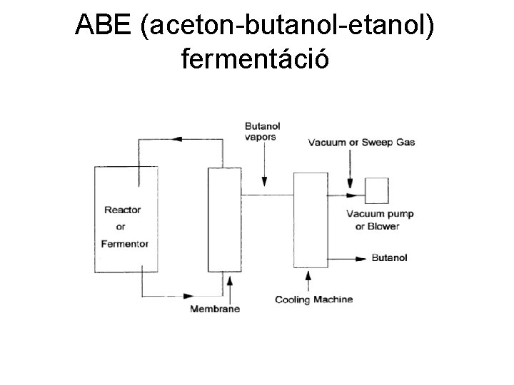 ABE (aceton-butanol-etanol) fermentáció 