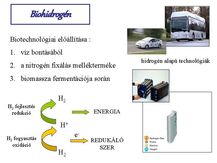 Biohidrogén Biotechnológiai előállítása : 1. víz bontásából 2. a nitrogén fixálás mellékterméke 3. biomassza