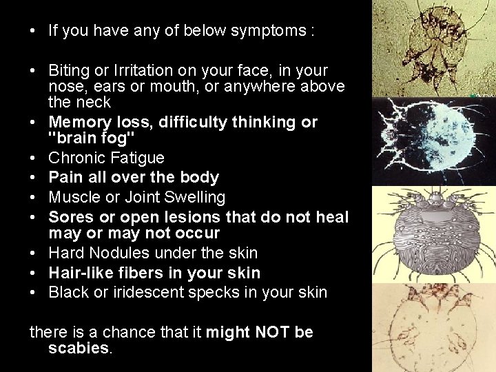 If You Have Any of These Biting or Irritation. Symptoms. . . on your