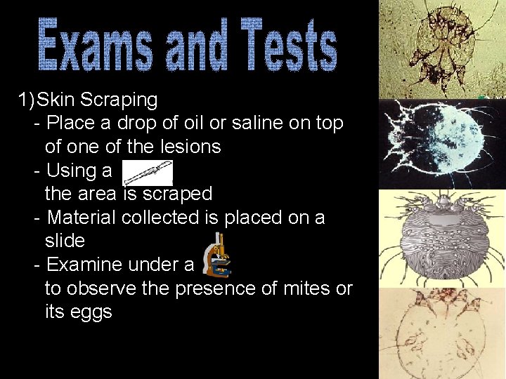 1) Skin Scraping - Place a drop of oil or saline on top of