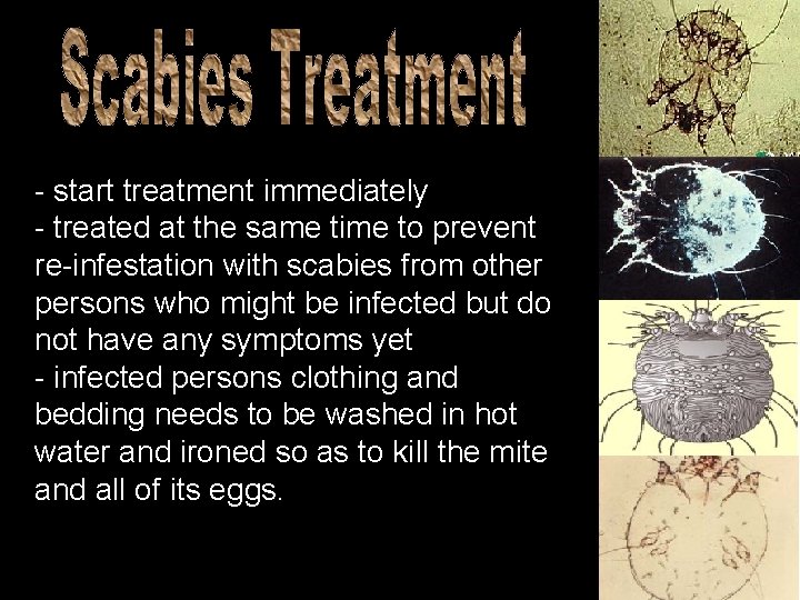 - start treatment immediately - treated at the same time to prevent re-infestation with