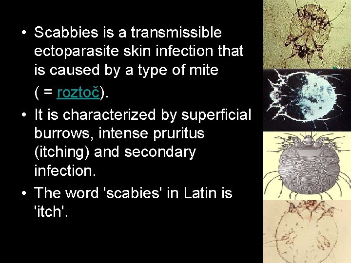  • Scabbies is a transmissible ectoparasite skin infection that is caused by a
