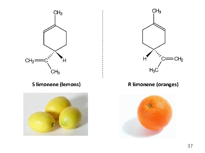 S limonene (lemons) R limonene (oranges) 37 