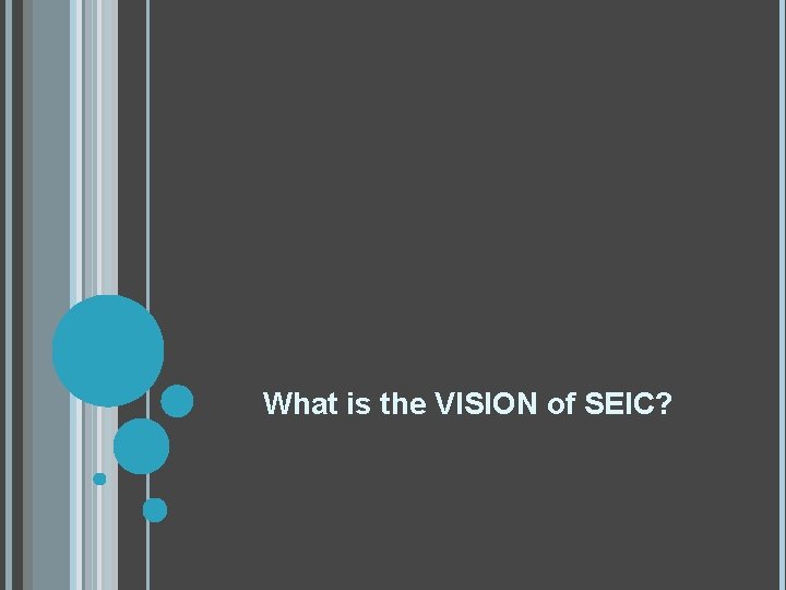 What is the VISION of SEIC? 