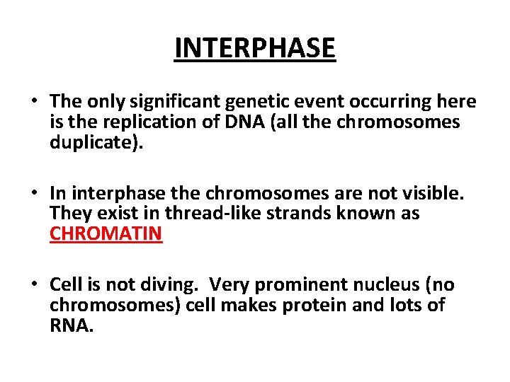 INTERPHASE • The only significant genetic event occurring here is the replication of DNA