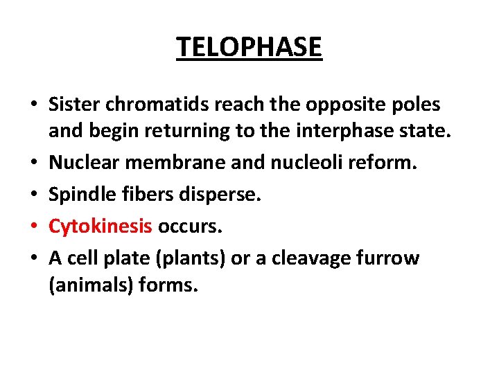 TELOPHASE • Sister chromatids reach the opposite poles and begin returning to the interphase