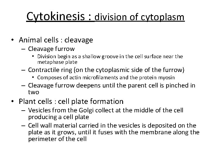 Cytokinesis : division of cytoplasm • Animal cells : cleavage – Cleavage furrow •