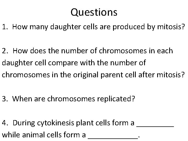 Questions 1. How many daughter cells are produced by mitosis? 2. How does the