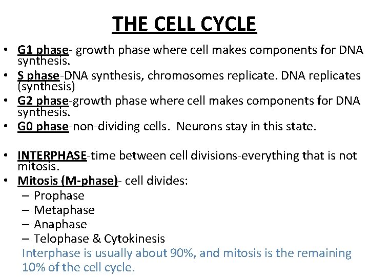 THE CELL CYCLE • G 1 phase- growth phase where cell makes components for