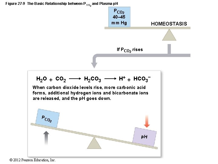 Figure 27 -9 The Basic Relationship between P CO 2 and Plasma p. H