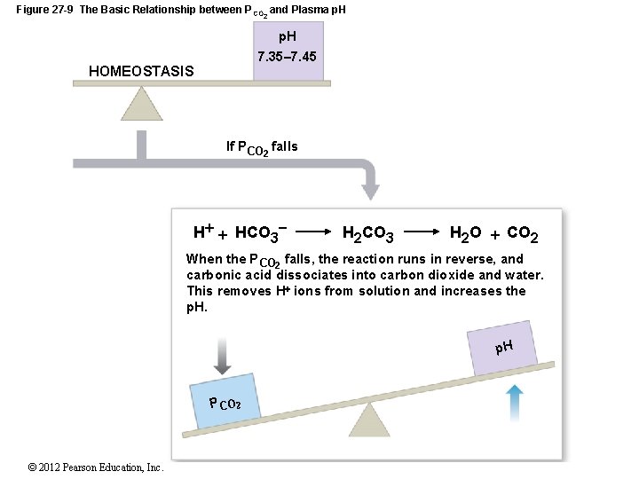 Figure 27 -9 The Basic Relationship between P CO 2 and Plasma p. H