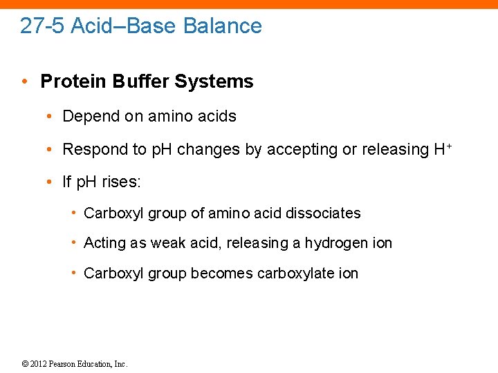 27 -5 Acid–Base Balance • Protein Buffer Systems • Depend on amino acids •