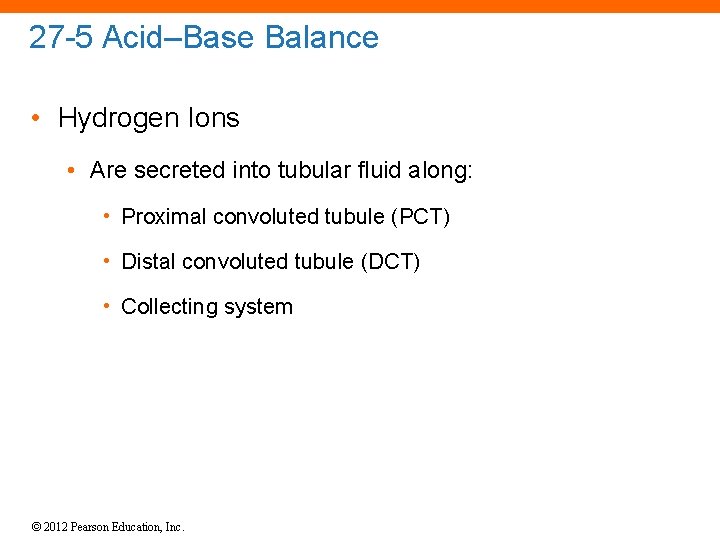 27 -5 Acid–Base Balance • Hydrogen Ions • Are secreted into tubular fluid along: