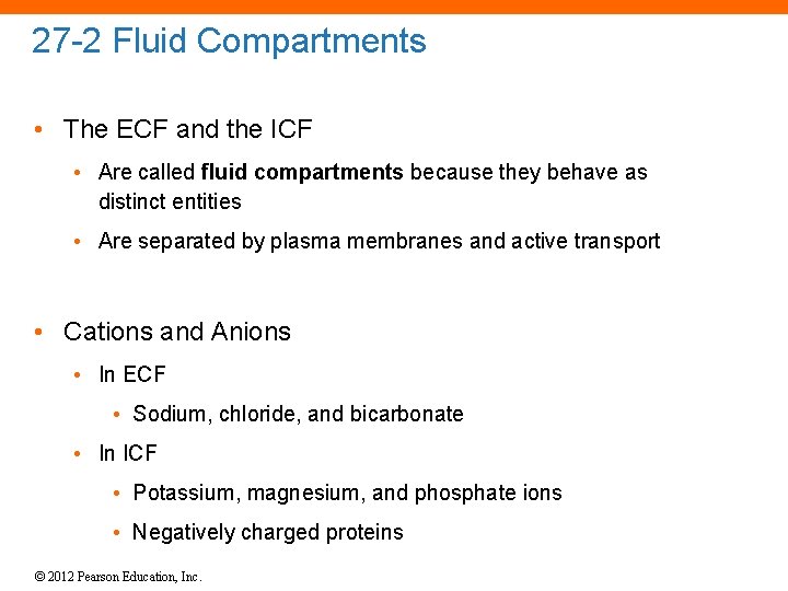 27 -2 Fluid Compartments • The ECF and the ICF • Are called fluid