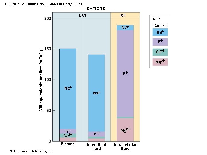 Figure 27 -2 Cations and Anions in Body Fluids CATIONS ICF ECF Na KEY