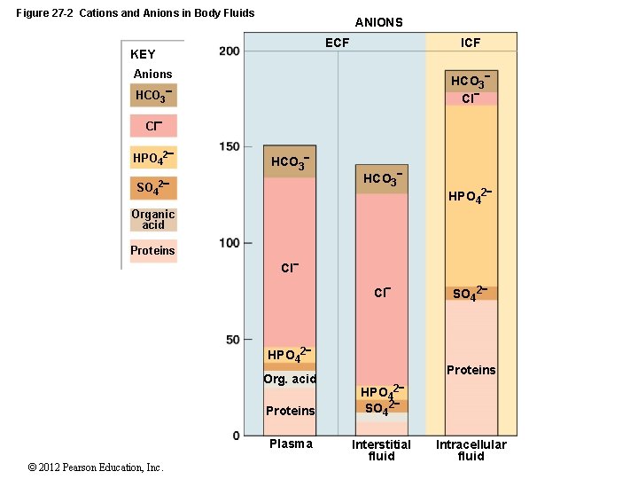 Figure 27 -2 Cations and Anions in Body Fluids ANIONS ECF KEY ICF Anions