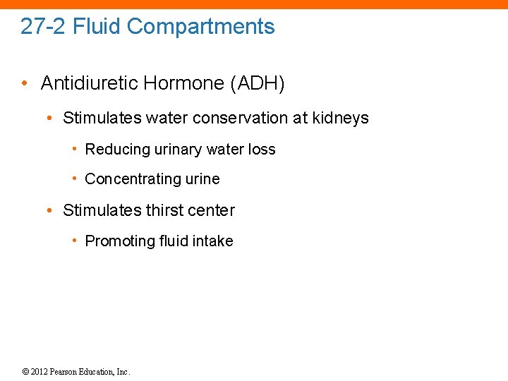 27 -2 Fluid Compartments • Antidiuretic Hormone (ADH) • Stimulates water conservation at kidneys