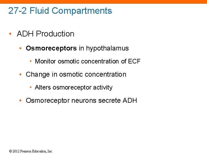 27 -2 Fluid Compartments • ADH Production • Osmoreceptors in hypothalamus • Monitor osmotic