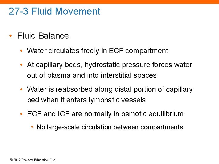 27 -3 Fluid Movement • Fluid Balance • Water circulates freely in ECF compartment