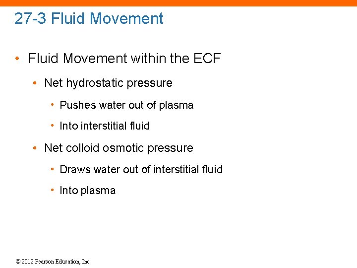 27 -3 Fluid Movement • Fluid Movement within the ECF • Net hydrostatic pressure